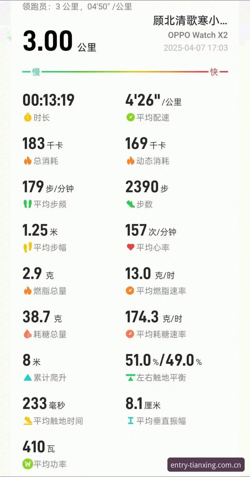 天行体育导航速度最新版深度评测：从数据面板到赛事追踪的全方位体验