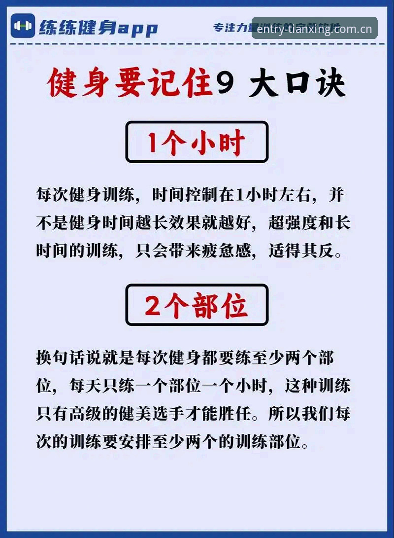 天行体育下载实用指南：新手入门必备知识